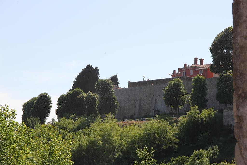 Provvidenza Vila Motovun Quarto foto